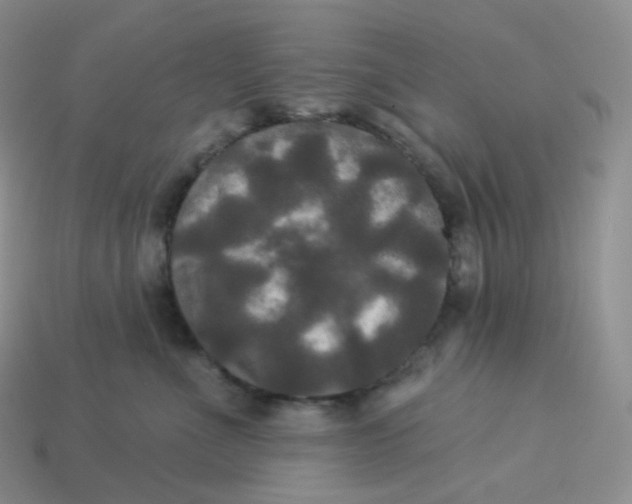 X0000113920523200910151442