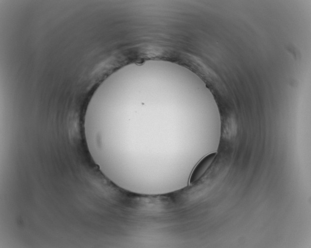 X0000113920524200910151442