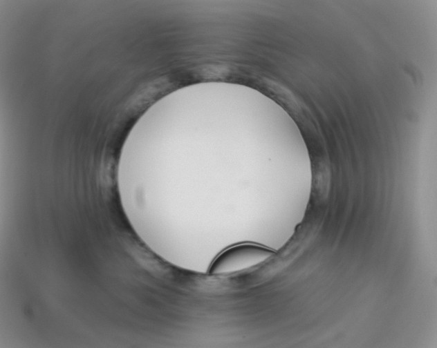 X0000113920525200910151442