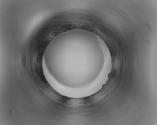 X0000113920526200910151442