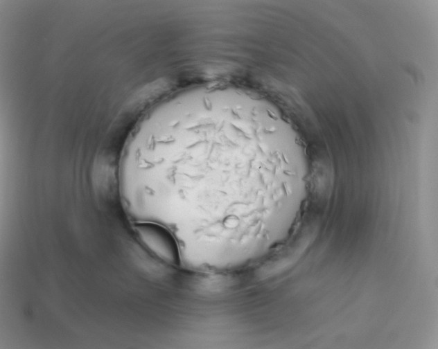 X0000113920527200910151442