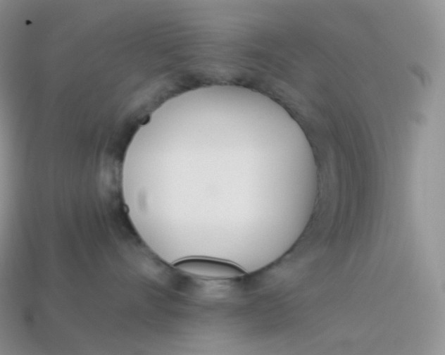 X0000113920528200910151442