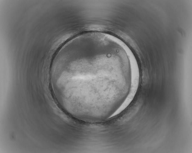 X0000113920529200910151441