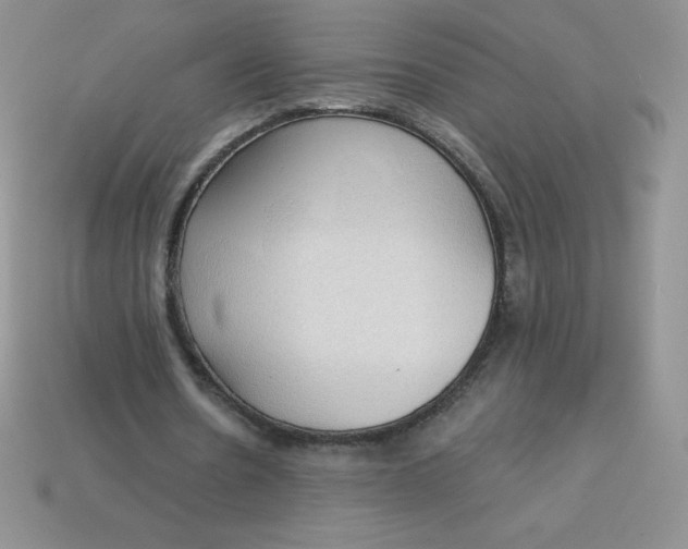X0000113920530200910151441