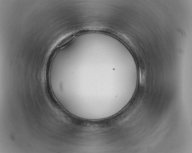 X0000113920531200910151441