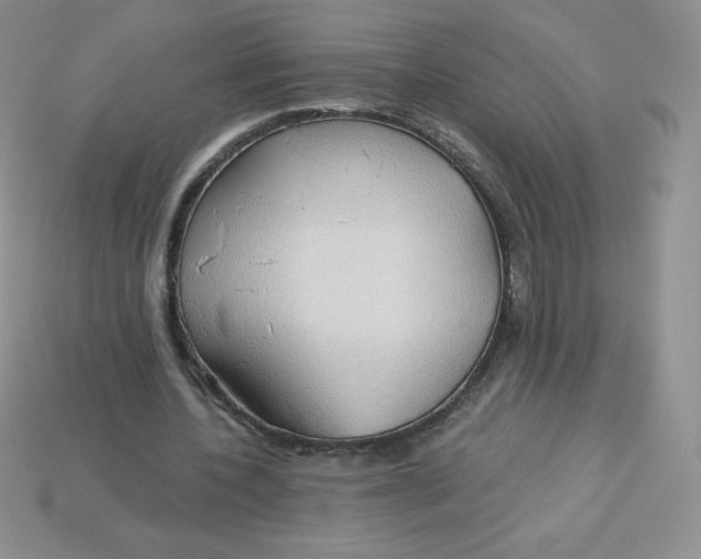 X0000113920532200910151441