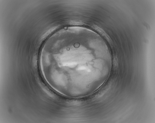 X0000113920533200910151441
