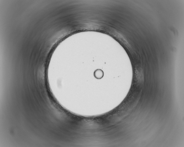 X0000113920534200910151441