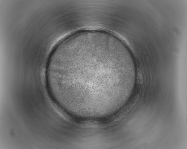X0000113920535200910151441