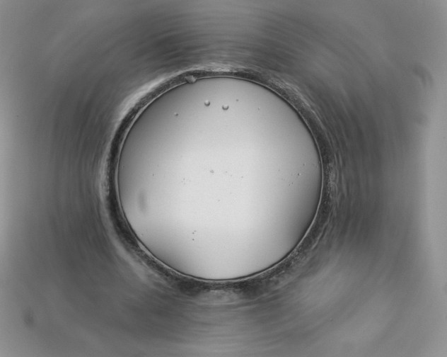X0000113920536200910151441