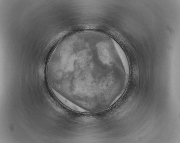 X0000113920537200910151441