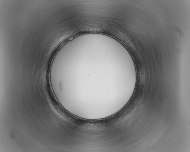 X0000113920538200910151441