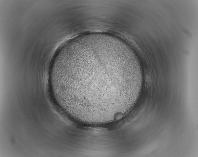 X0000113920539200910151441