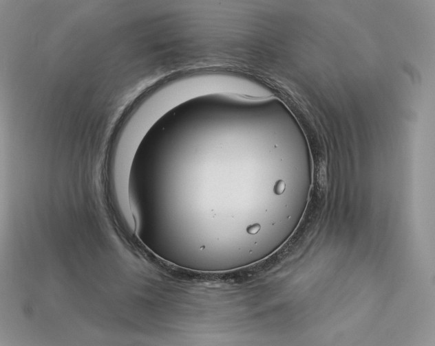 X0000113920540200910151441