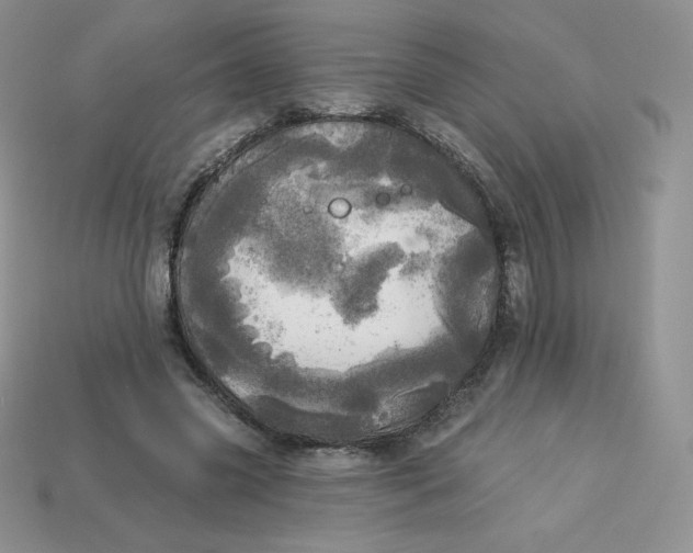 X0000113920541200910151441