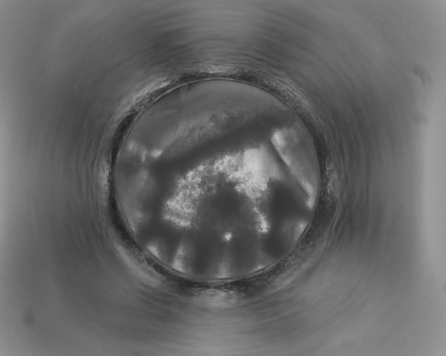 X0000113920542200910151441