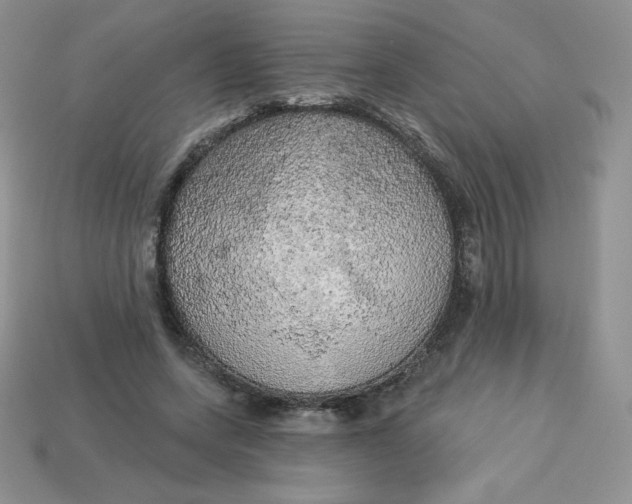 X0000113920543200910151441