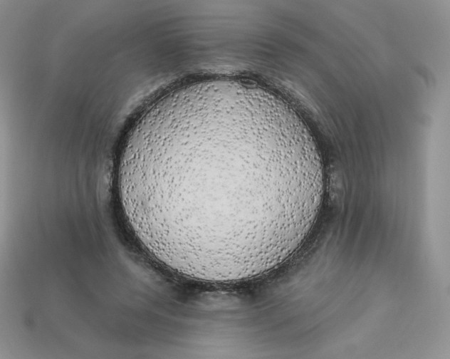 X0000113920544200910151441