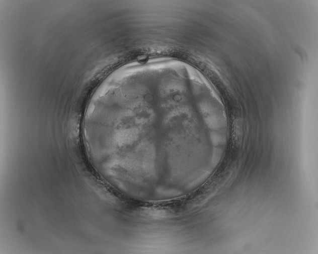 X0000113920545200910151441