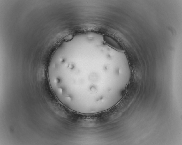 X0000113920546200910151441