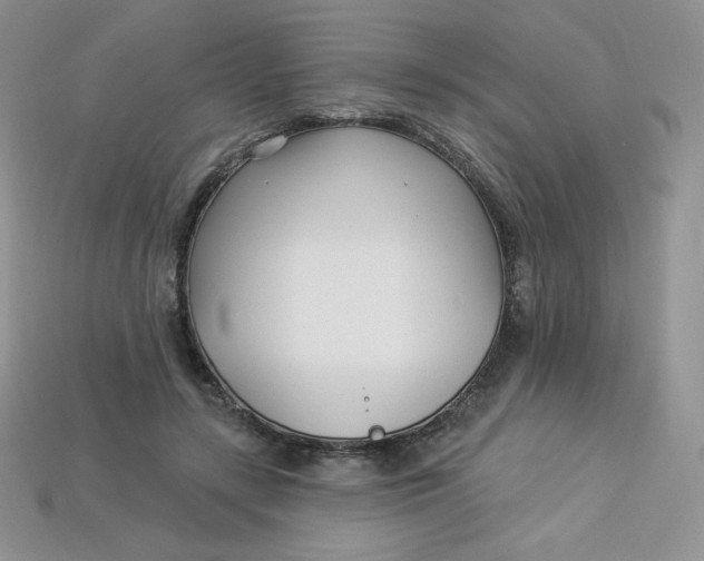 X0000113920547200910151441