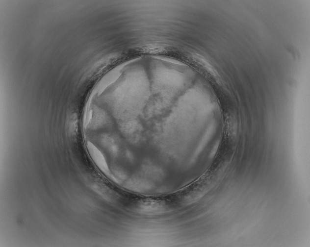 X0000113920549200910151441