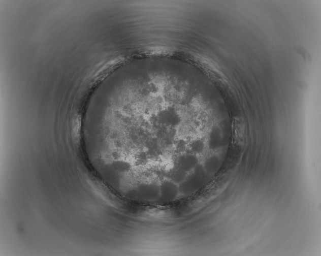 X0000113920550200910151441