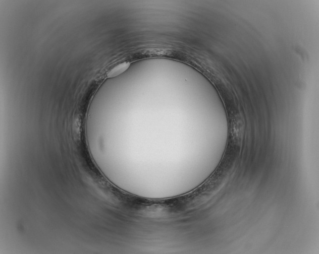 X0000113920551200910151441