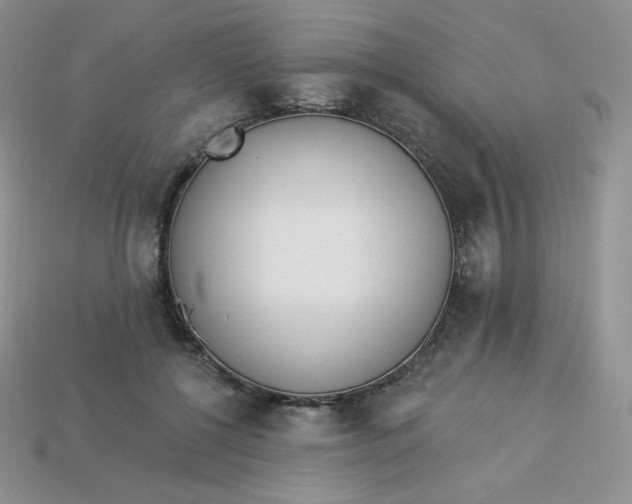 X0000113920552200910151441