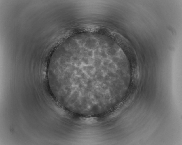 X0000113920553200910151441
