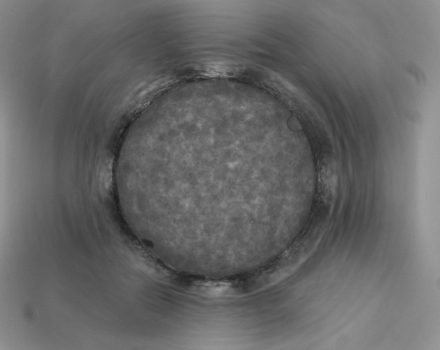 X0000113920554200910151441