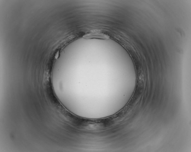 X0000113920555200910151441