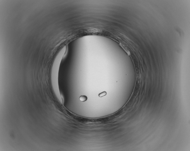 X0000113920556200910151442