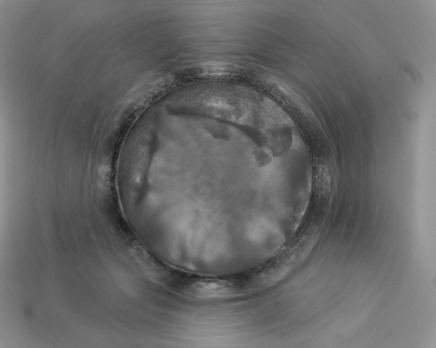 X0000113920557200910151442