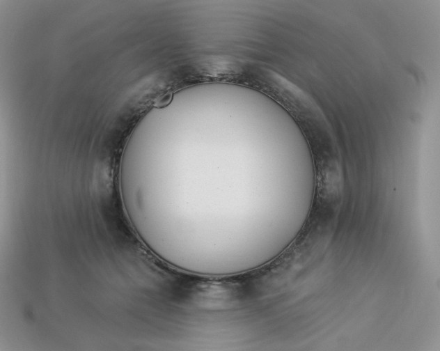 X0000113920558200910151442