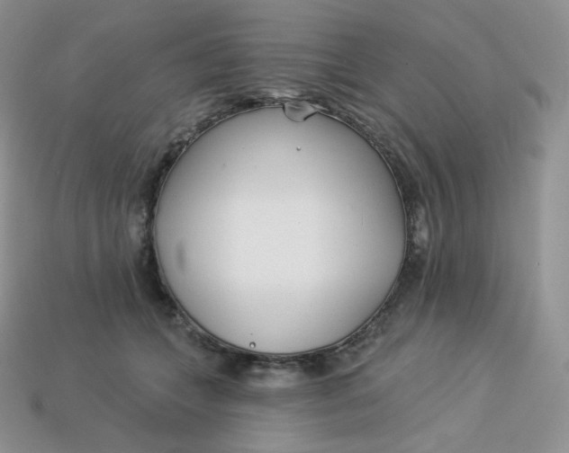 X0000113920559200910151442