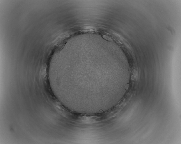 X0000113920560200910151442