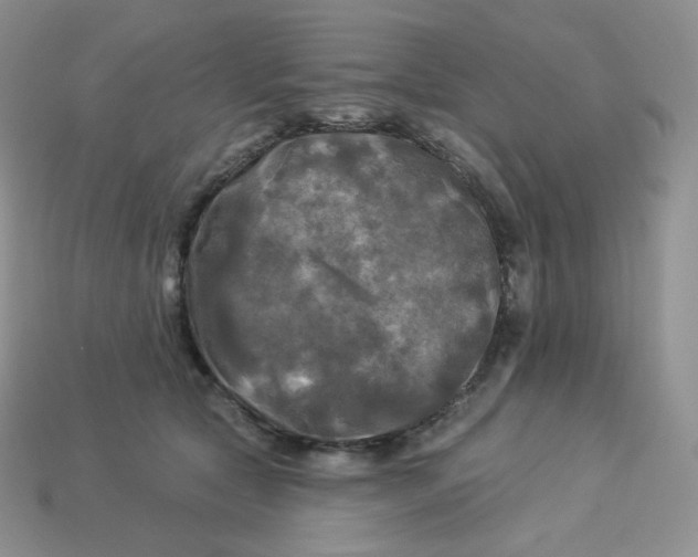 X0000113920561200910151442
