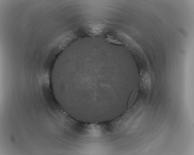 X0000113920562200910151442