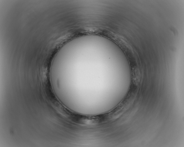 X0000113920563200910151442