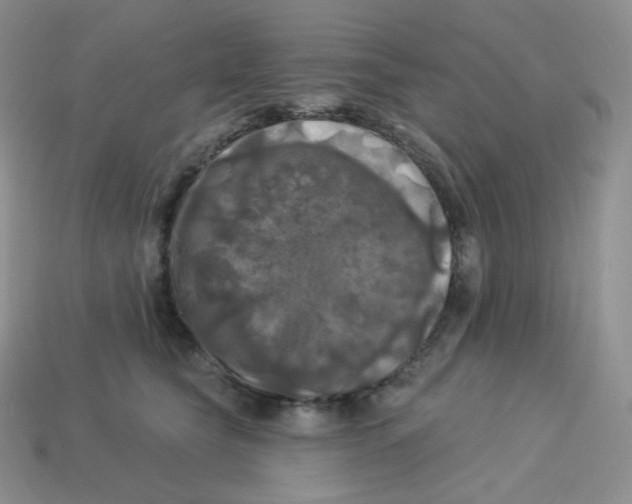 X0000113920565200910151442