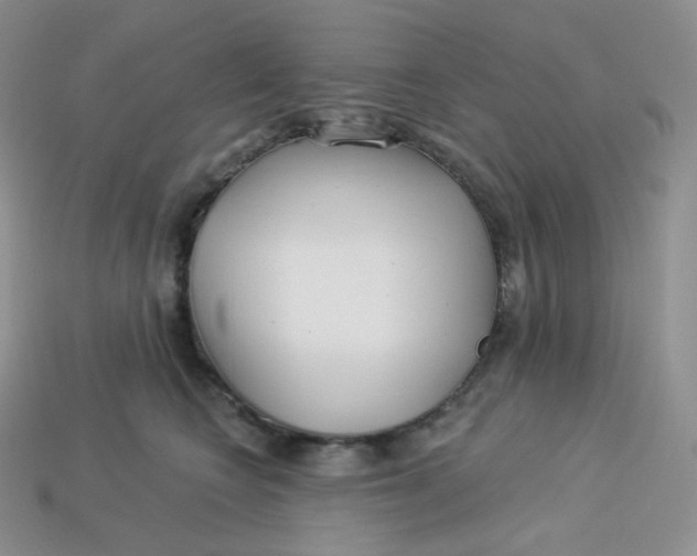 X0000113920566200910151442