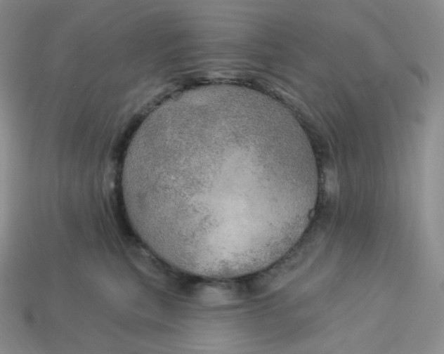 X0000113920567200910151442
