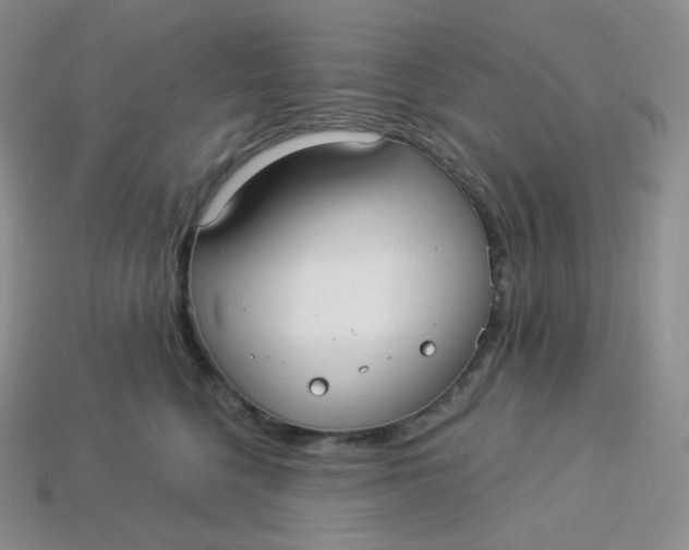 X0000113920568200910151442