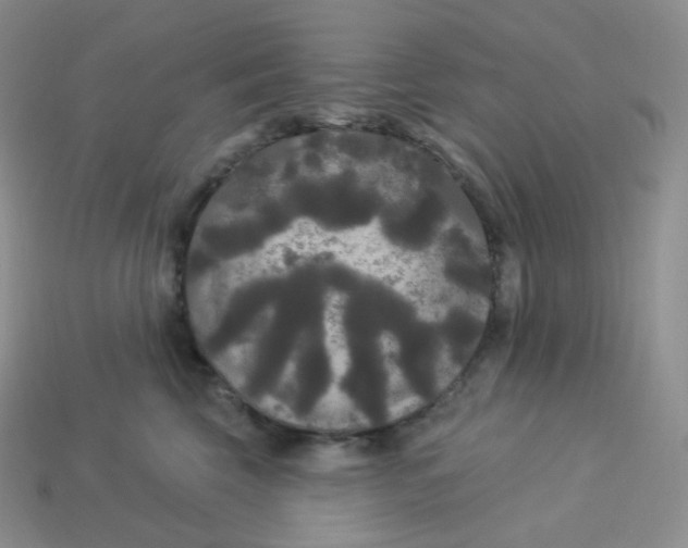 X0000113920569200910151442