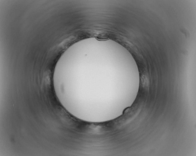 X0000113920570200910151442