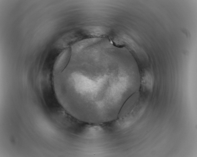 X0000113920572200910151442
