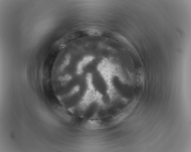 X0000113920573200910151442
