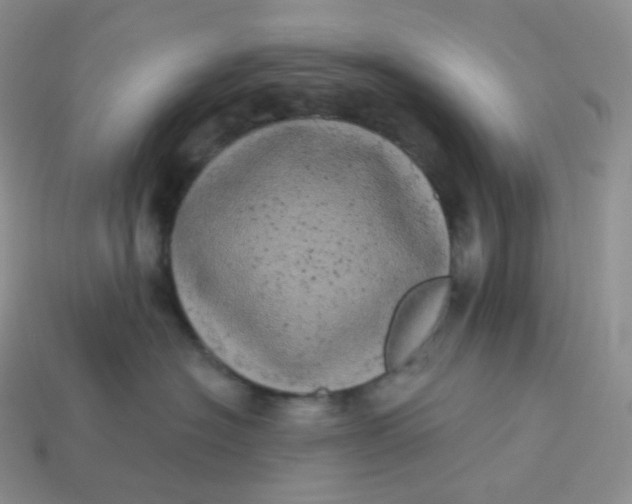 X0000113920574200910151442