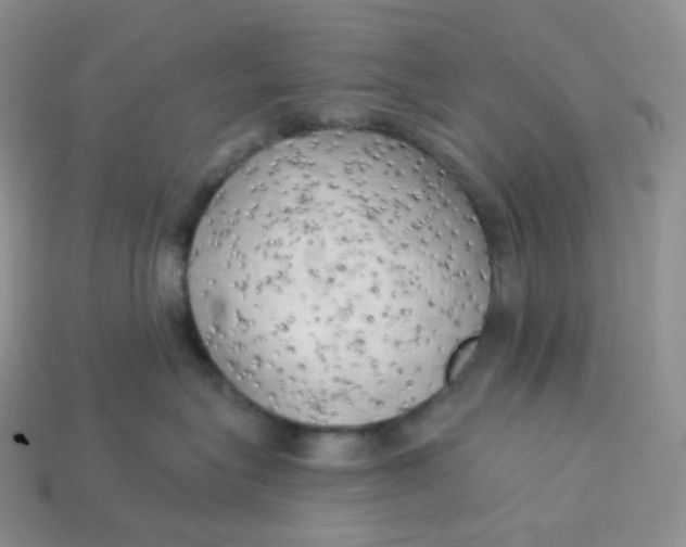 X0000113920575200910151442